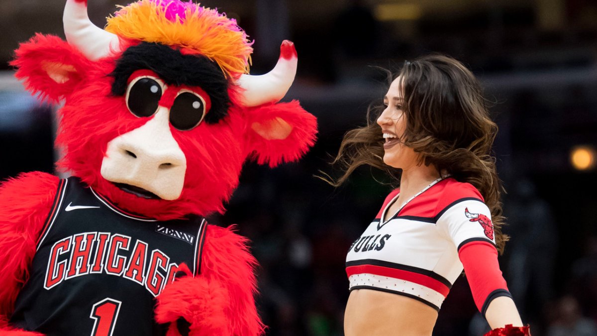 CHICAGO BULL'S MASCOT Benny the Bull IN DROP OFFS?