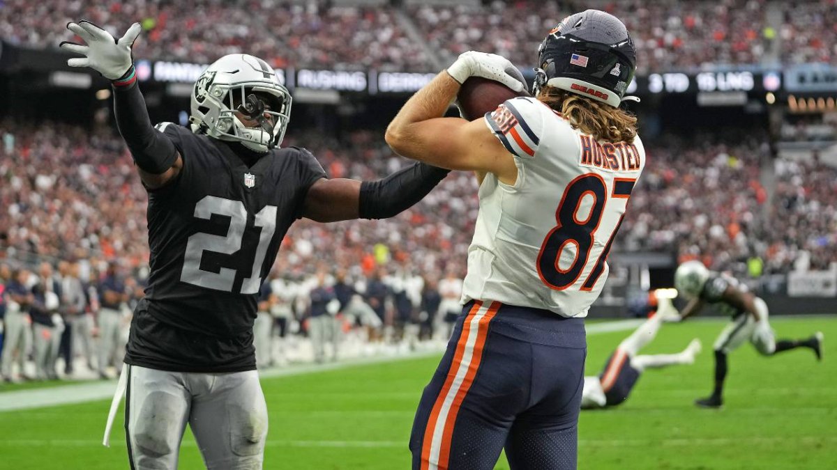 Chicago Bears on Instagram: “#DaBears ARE NFC NORTH CHAMPS