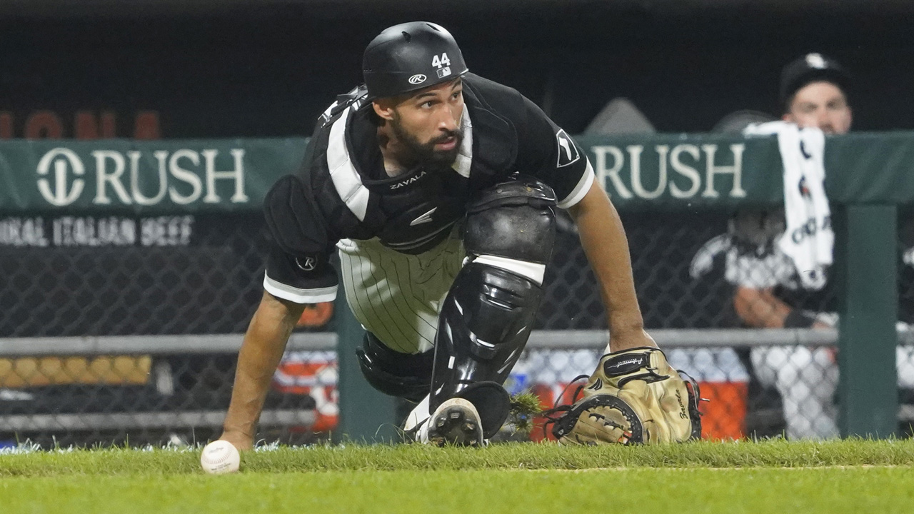 White Sox catcher Seby Zavala making case to be in playoff plans – NBC  Sports Chicago