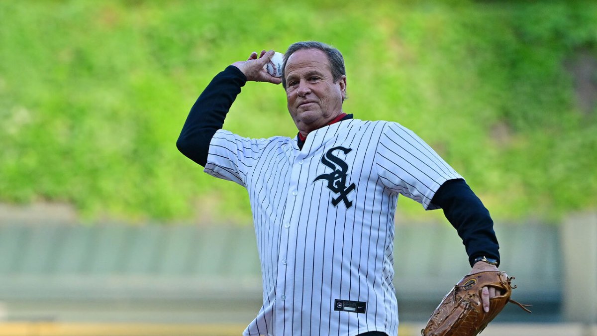 My night with the Chicago White Sox - April 24, 2015 – Steven On The Move