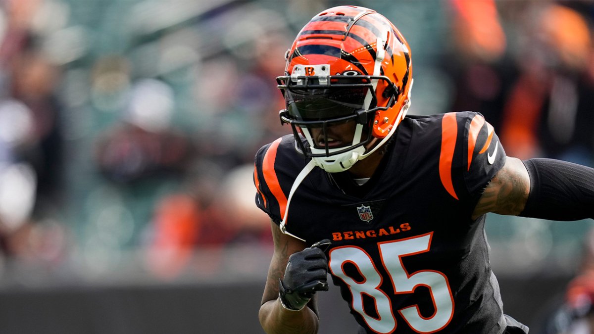 Andrew Hawkins on WR Tee Higgins: The Bengals can't pay everybody – NBC  Sports Chicago