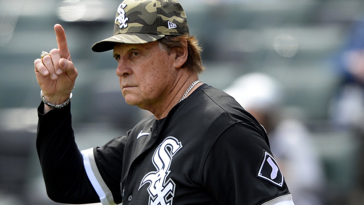 3 former White Sox to replace Tony La Russa as manager