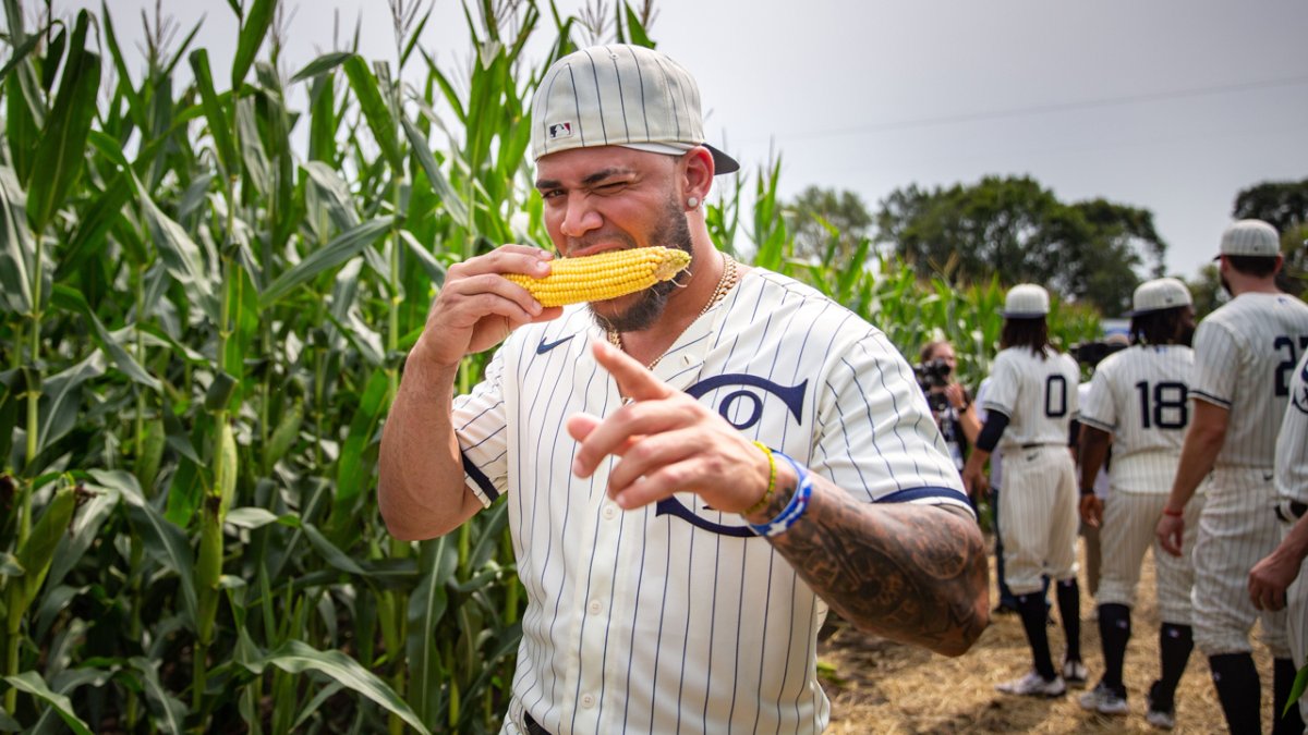 Field of Dreams Movie: Kevin Costner + Baseball & Corn