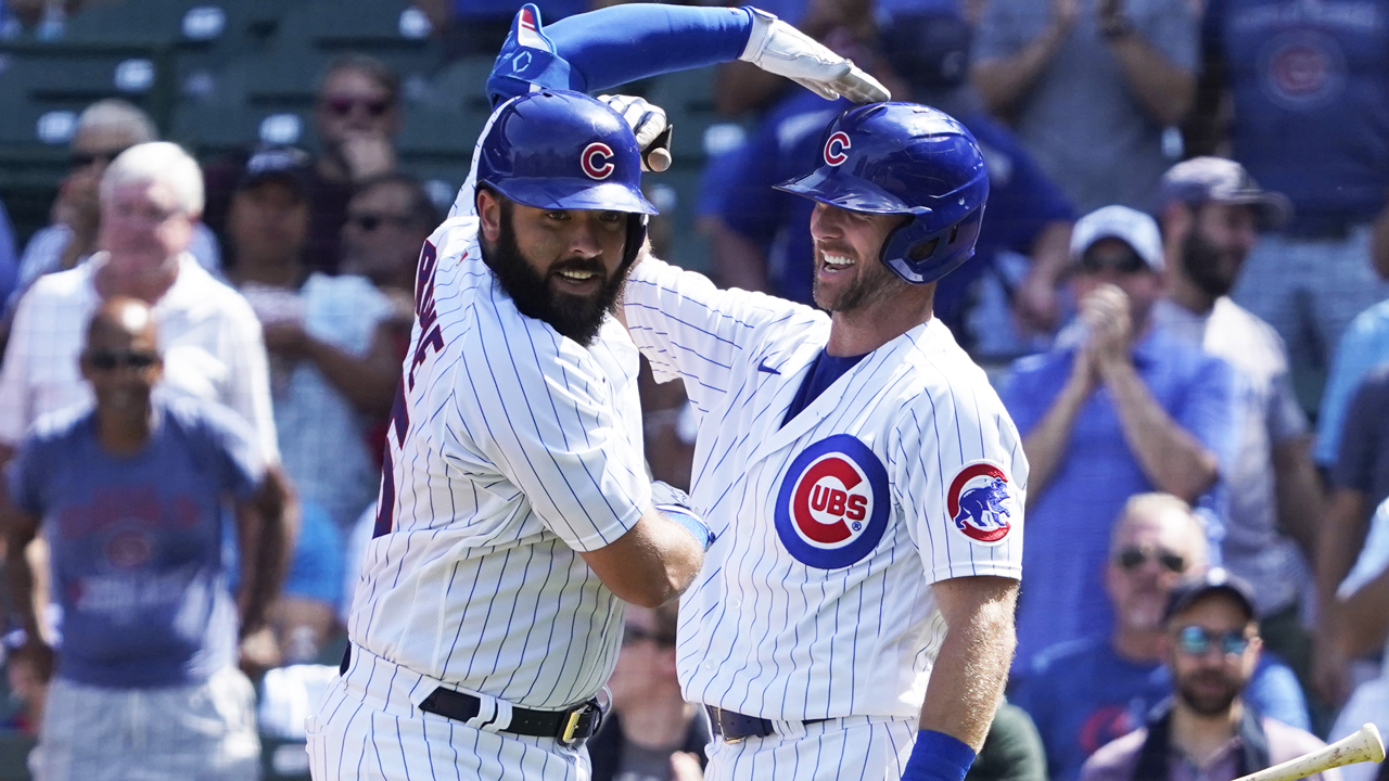 Cubs' Andrew and Austin Romine make up rare brotherly pitcher-catcher duo