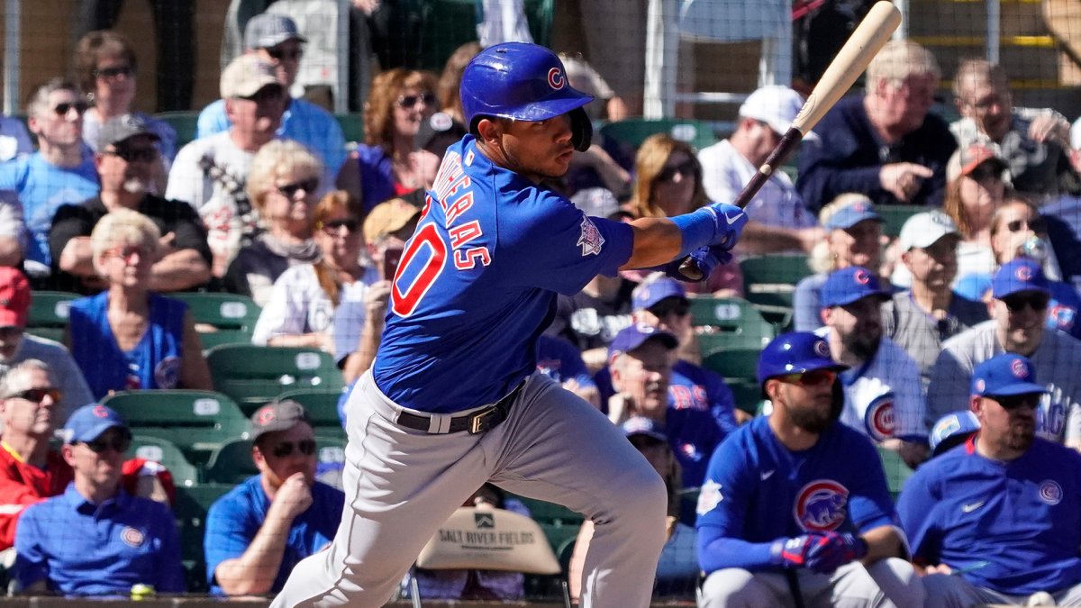 Willson and William Contreras take BP in driveway