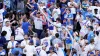 Cubs fans' epic beer cup snake was insanely expensive