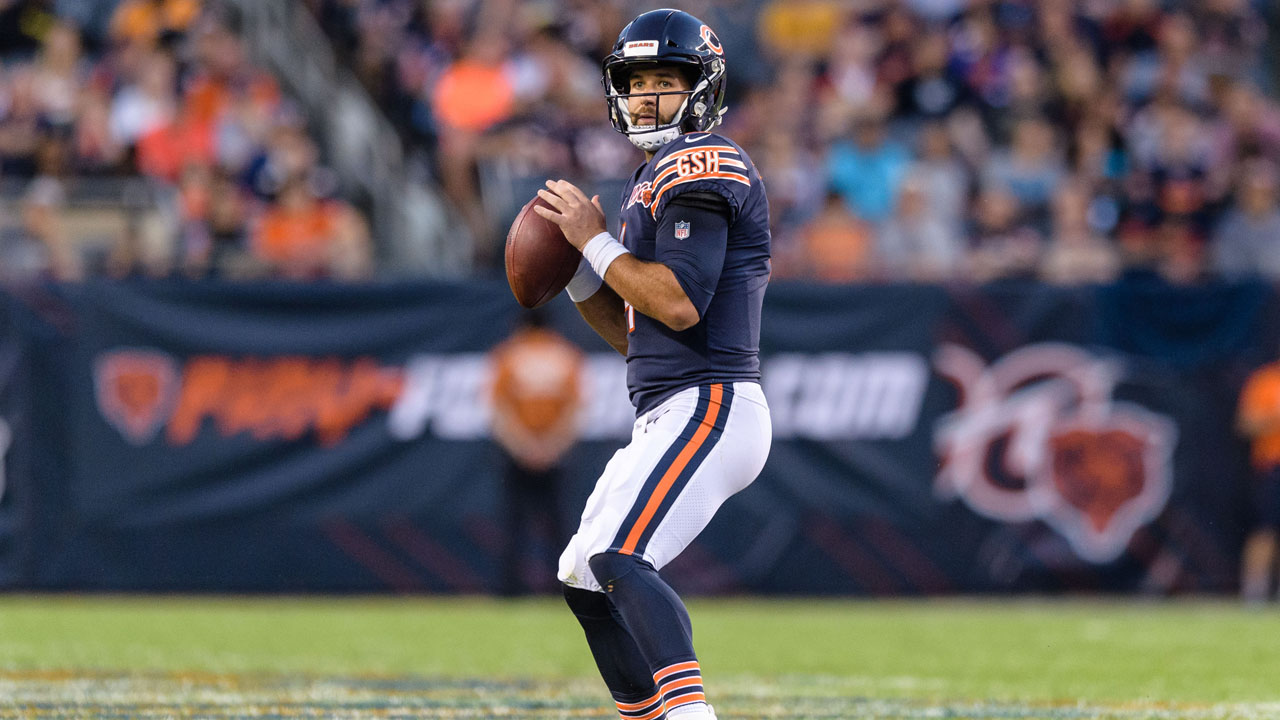 Looking back on the 30 starting quarterbacks for the Chicago Bears since  1992