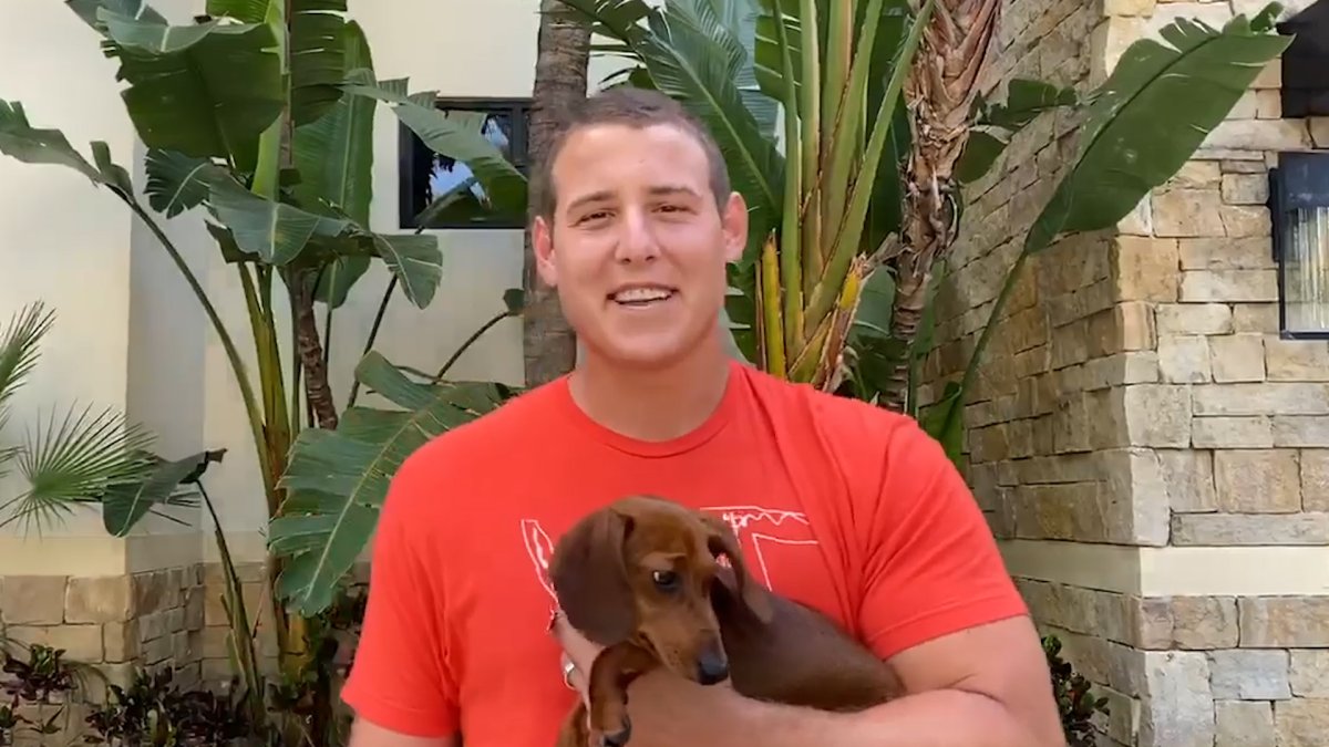 Baseball Bros on X: Anthony Rizzo has a wiener dog named Kevin