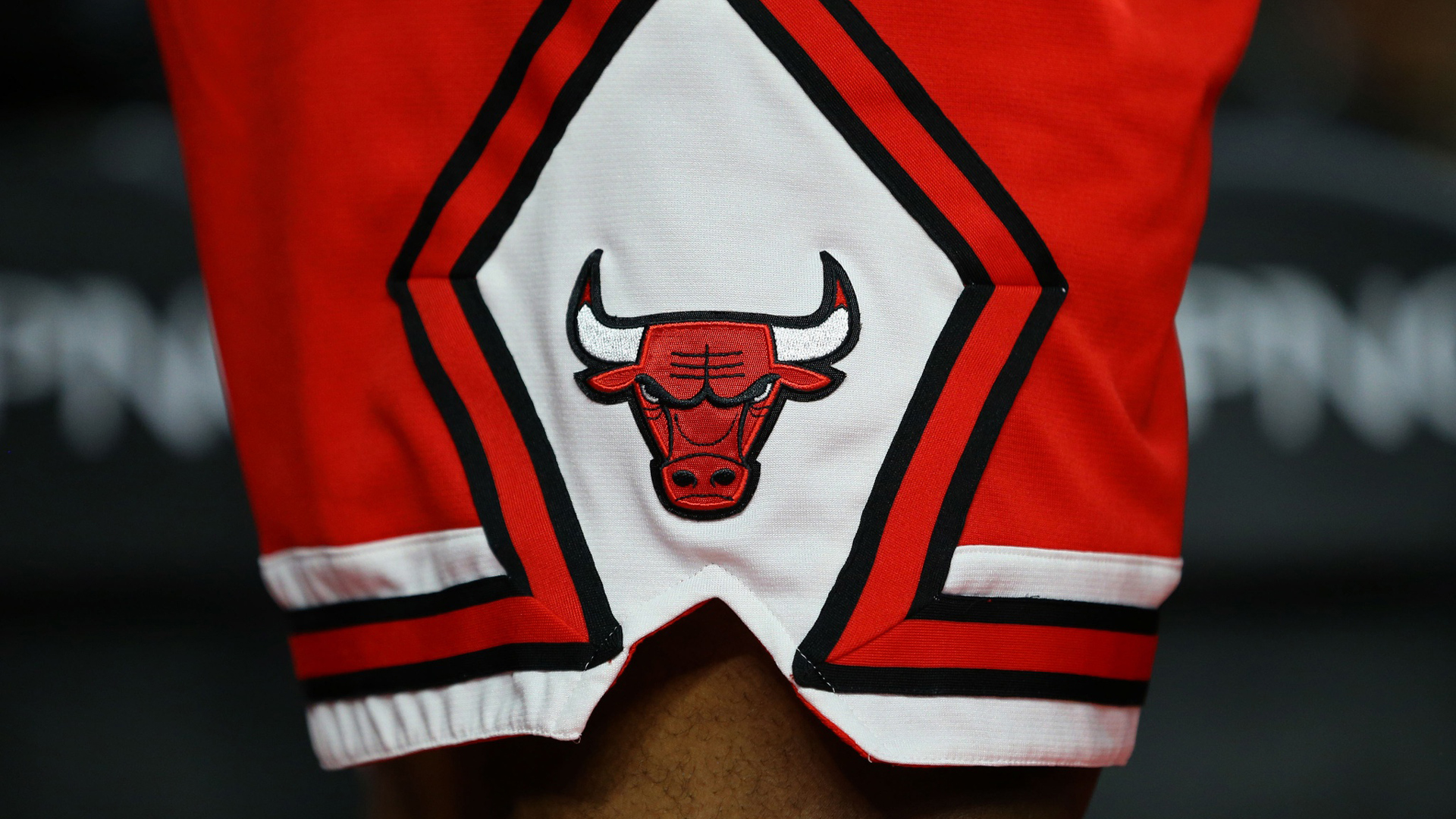 60 Chicago bullz ideas  chicago bulls, chicago, da bulls
