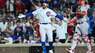 David Ross happy with what he's seen in Cubs youngster Sergio Alcantara –  NBC Sports Chicago