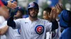 Mike Tauchman leaves Cubs' game vs. Giants with injury
