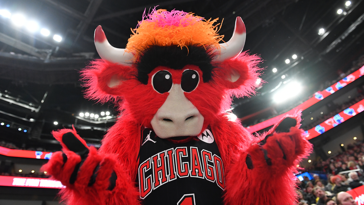 Chicago Bears Chicago Cubs Chicago Blackhawks Chicago Bulls mascot