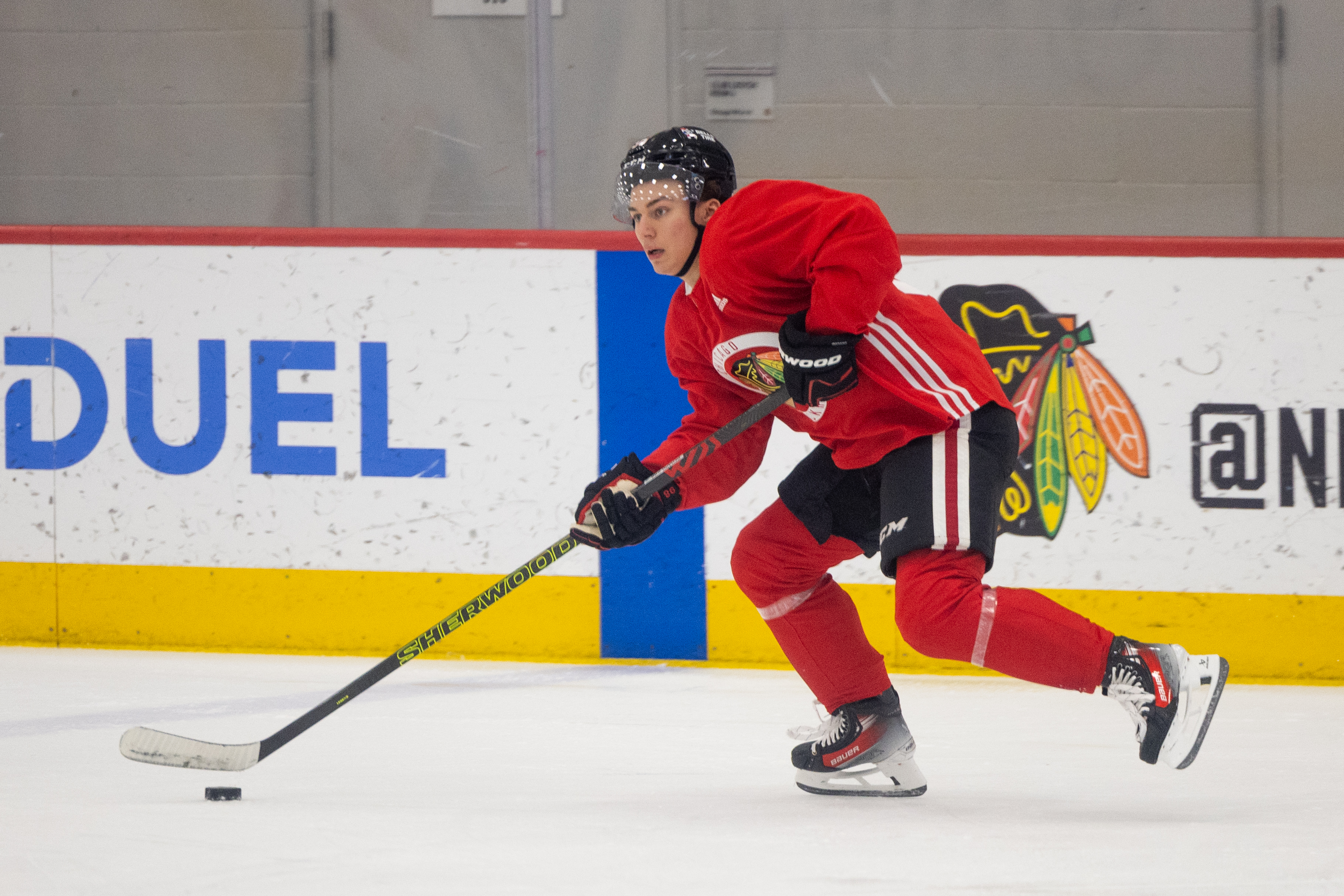 Column: Detroit Red Wings' rebuild gives the Chicago Blackhawks hope — and  a reality check