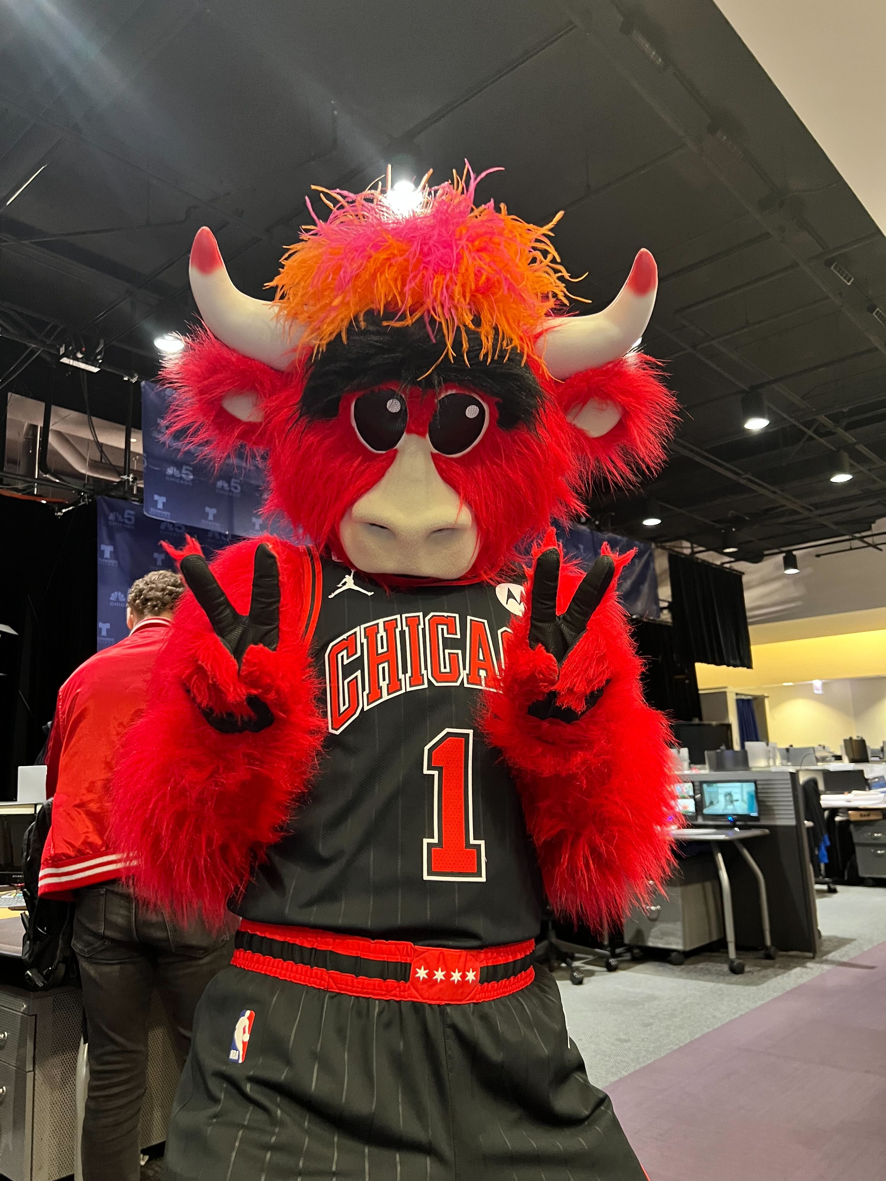I asked an AI to show me a picture of the Chicago bulls mascot if