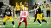 What Bears drafting Iowa punter Tory Taylor in fourth round means for Trenton Gill