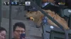 Glizzy-guzzling Golden Retriever goes viral at White Sox-Mariners game