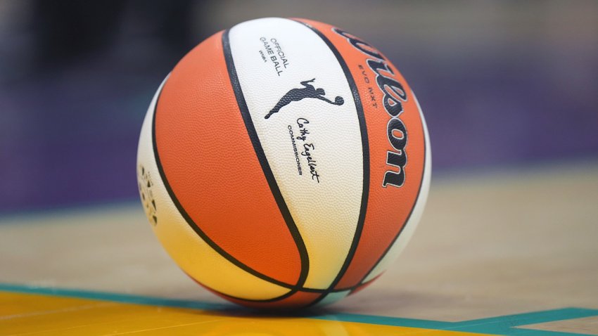 pic of wnba ball