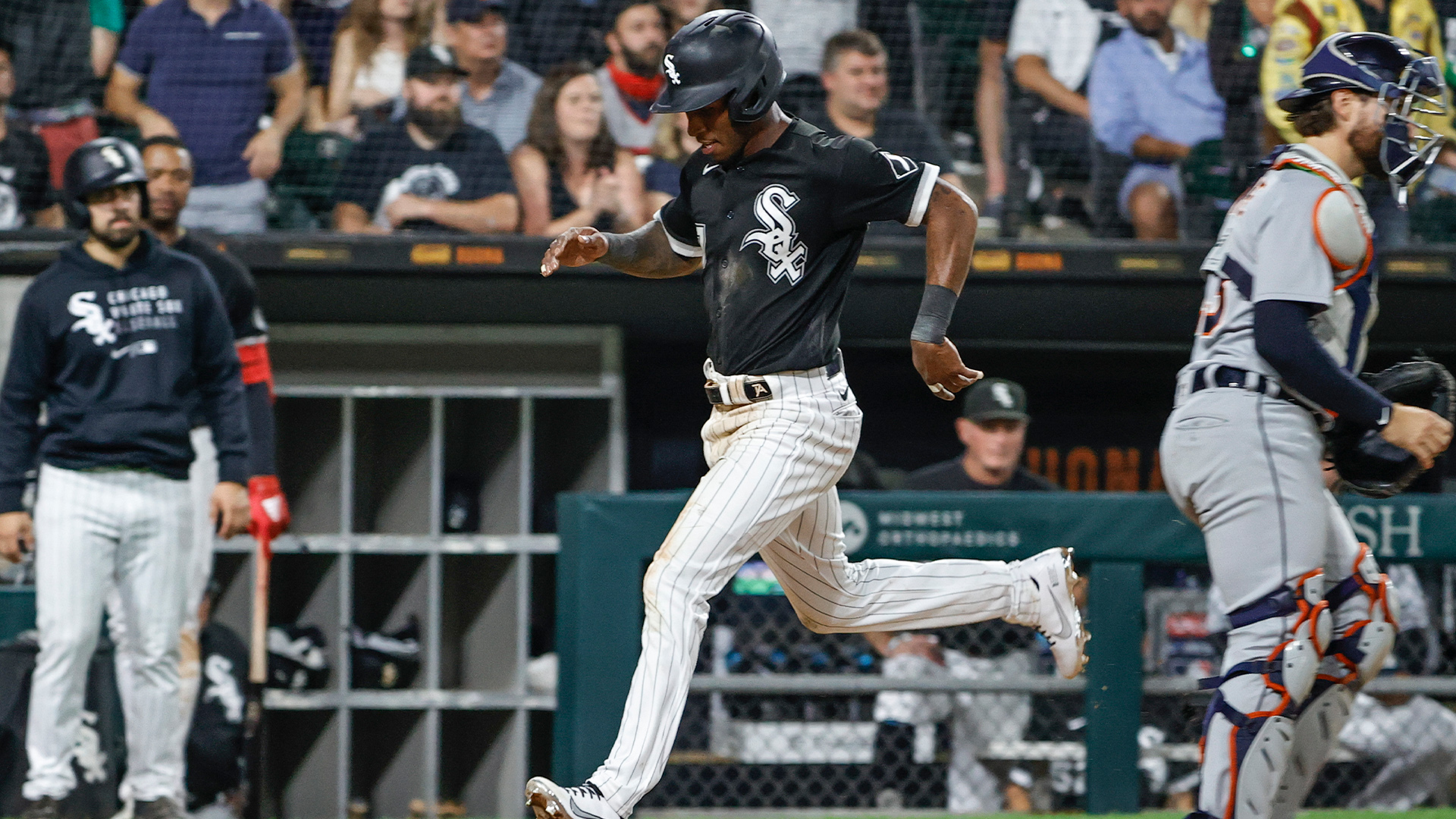 Tim Anderson on 'Field of Dreams,' and Keeping the .300 Hitter